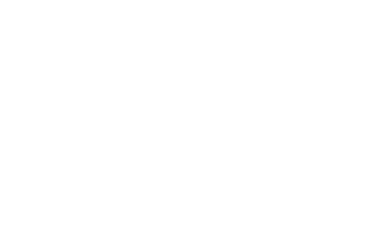 לוגו לינק קסטל